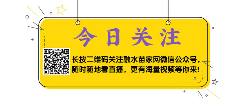 招牌大字今日关注公众号封面@凡科快图.png